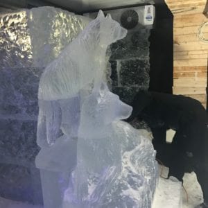 Wolf2 1 300x300 - The Lone Wolf Ice Bar, Newcastle
