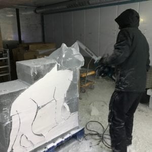 Wolf3 1 300x300 - The Lone Wolf Ice Bar, Newcastle