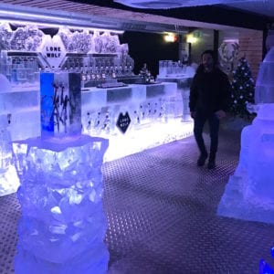 wolf11 1 300x300 - The Lone Wolf Ice Bar, Newcastle