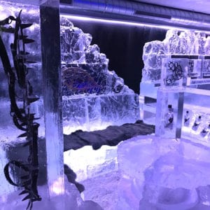 wolf12 1 300x300 - The Lone Wolf Ice Bar, Newcastle