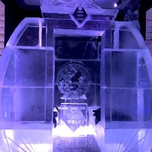 wolf20 300x300 - The Lone Wolf Ice Bar, Newcastle