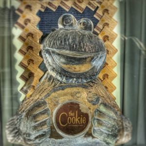 Cookie Monster. Instagram @cjjourneys 300x300 - Legendary Return to the York Ice Trail