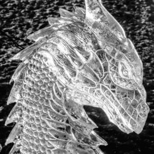 Dragon head 1 300x300 - Legendary Return to the York Ice Trail