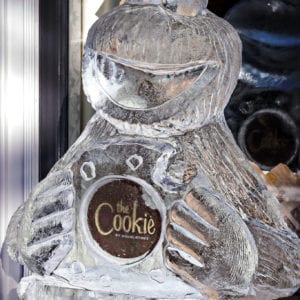 cookie monster 300x300 - Legendary Return to the York Ice Trail