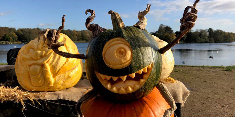 Halloween Carved Pumpkins